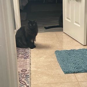 Meet your Posher, Abbigail